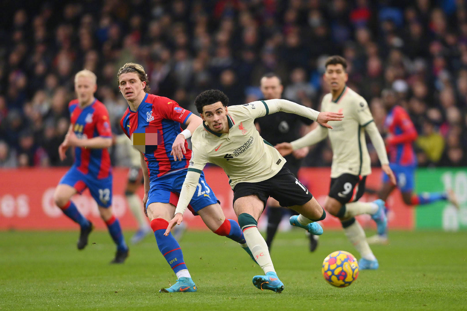 可以获得最 可以获得最